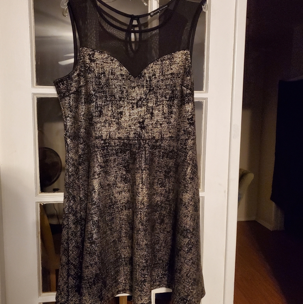 Metallic Fashion to Figure Fit and Flare Dress